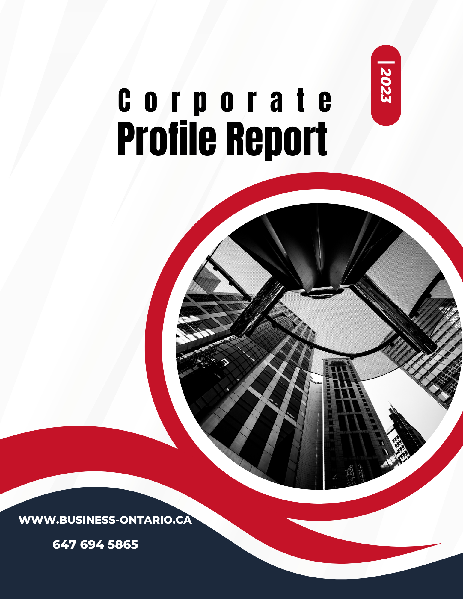 Corporation Profile Report Comprehensive Insights Analysis