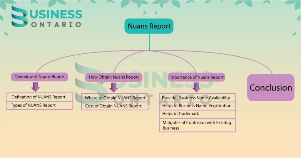 NUANS Report